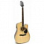 Электроакустические гитары